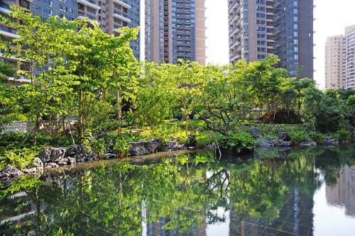 深圳太古城花園外局部實(shí)景圖